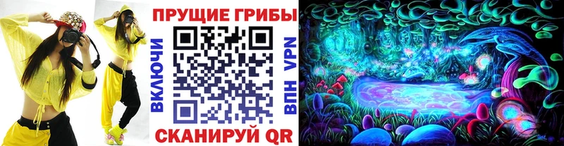 Галлюциногенные грибы GOLDEN TEACHER Балтийск